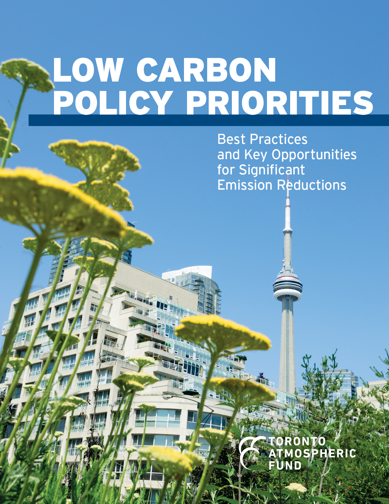 photo of report cover