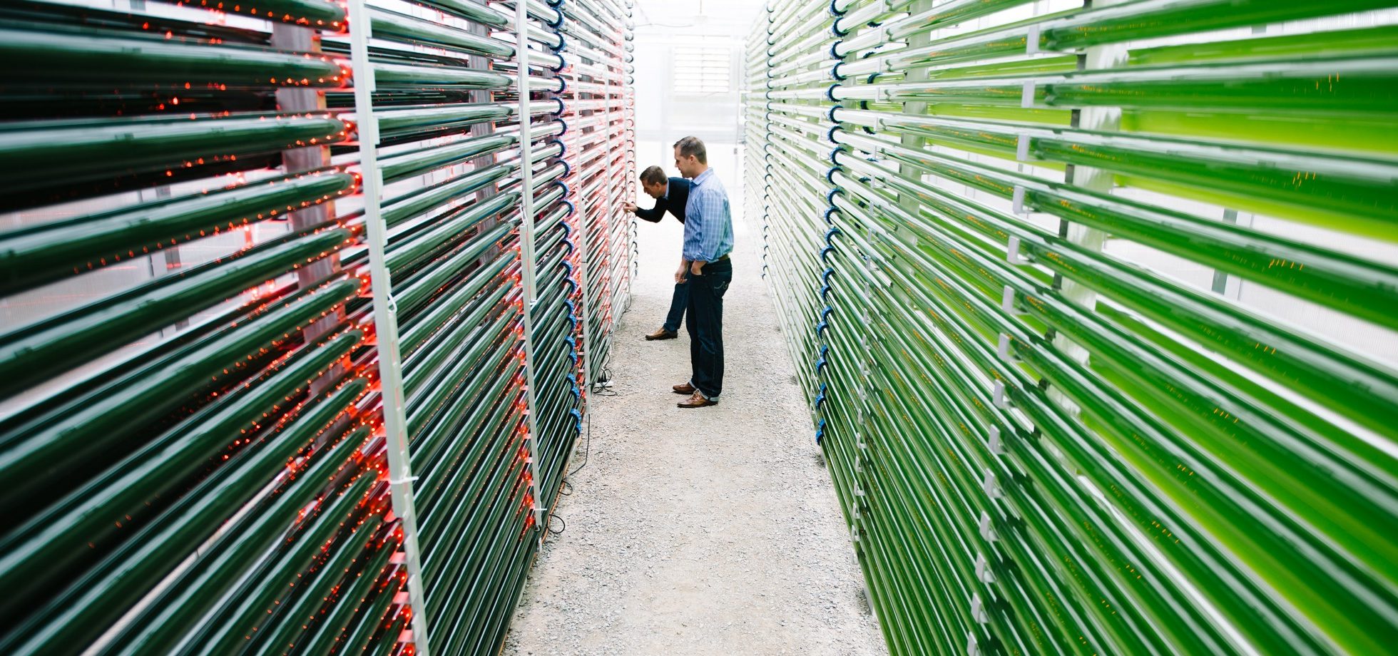 Two men look at coils