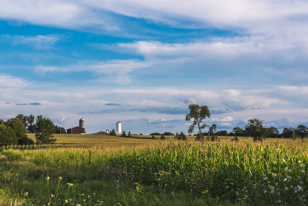 A farm in green pastures